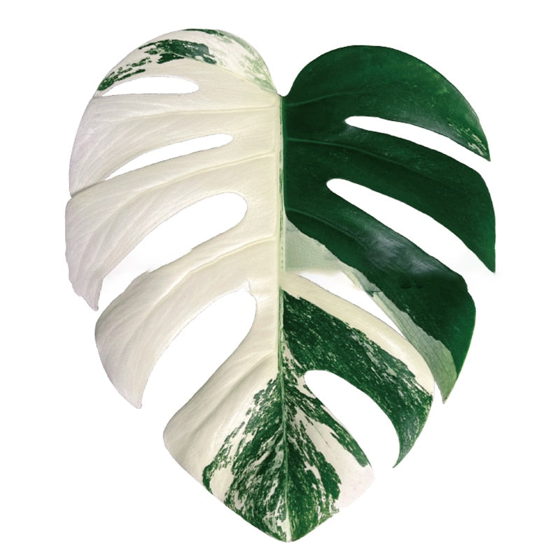 Plant Pop Socket Grip for Mobile Phone