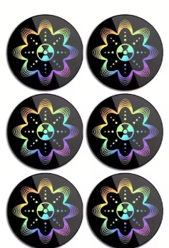 6-Piece Quantum Shield Mobile Phone Stickers
