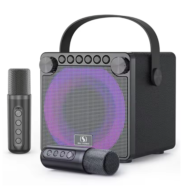 120W High Power Karaoke System