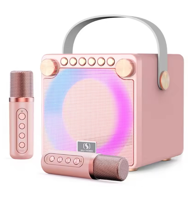 120W High Power Karaoke System