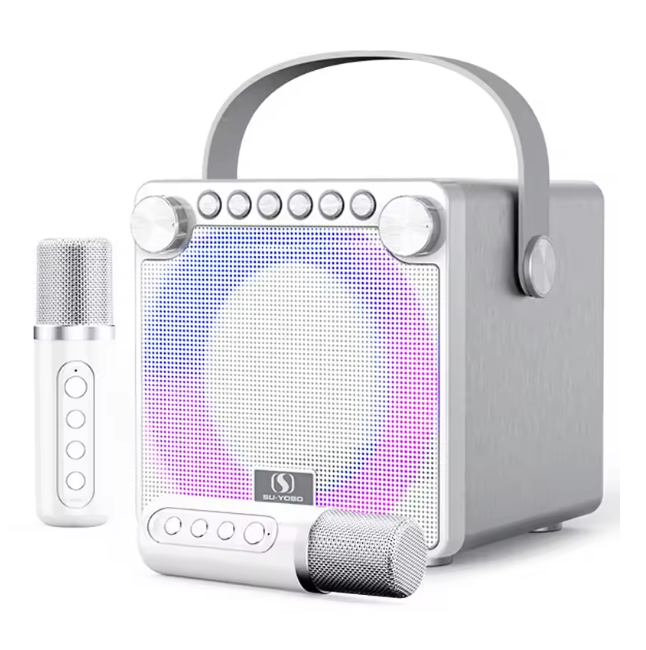 120W High Power Karaoke System