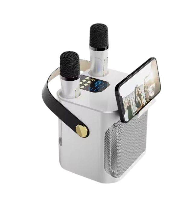Bluetooth Karaoke Speaker Stereo With Dual Microphones