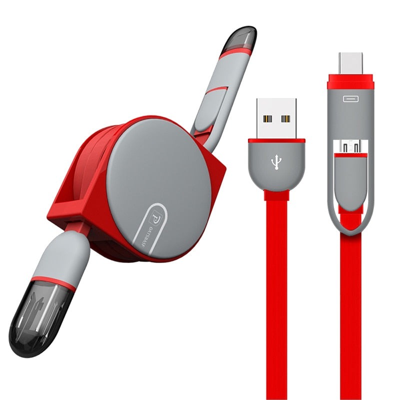 2-in-1 Micro USB Cable for Samsung